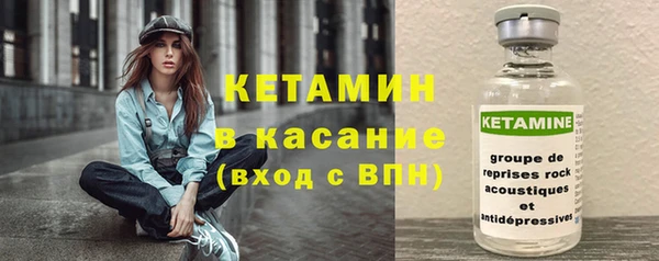 сатива Покачи