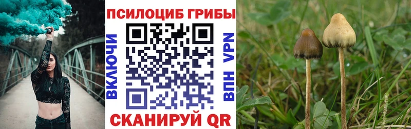 Псилоцибиновые грибы мухоморы  Пыть-Ях 